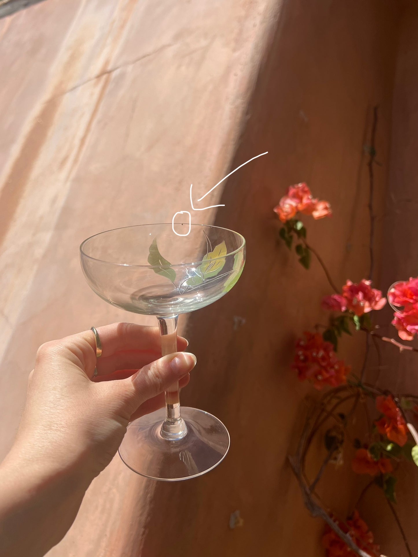 Isn't She Lovely Gimlet Glasses Set