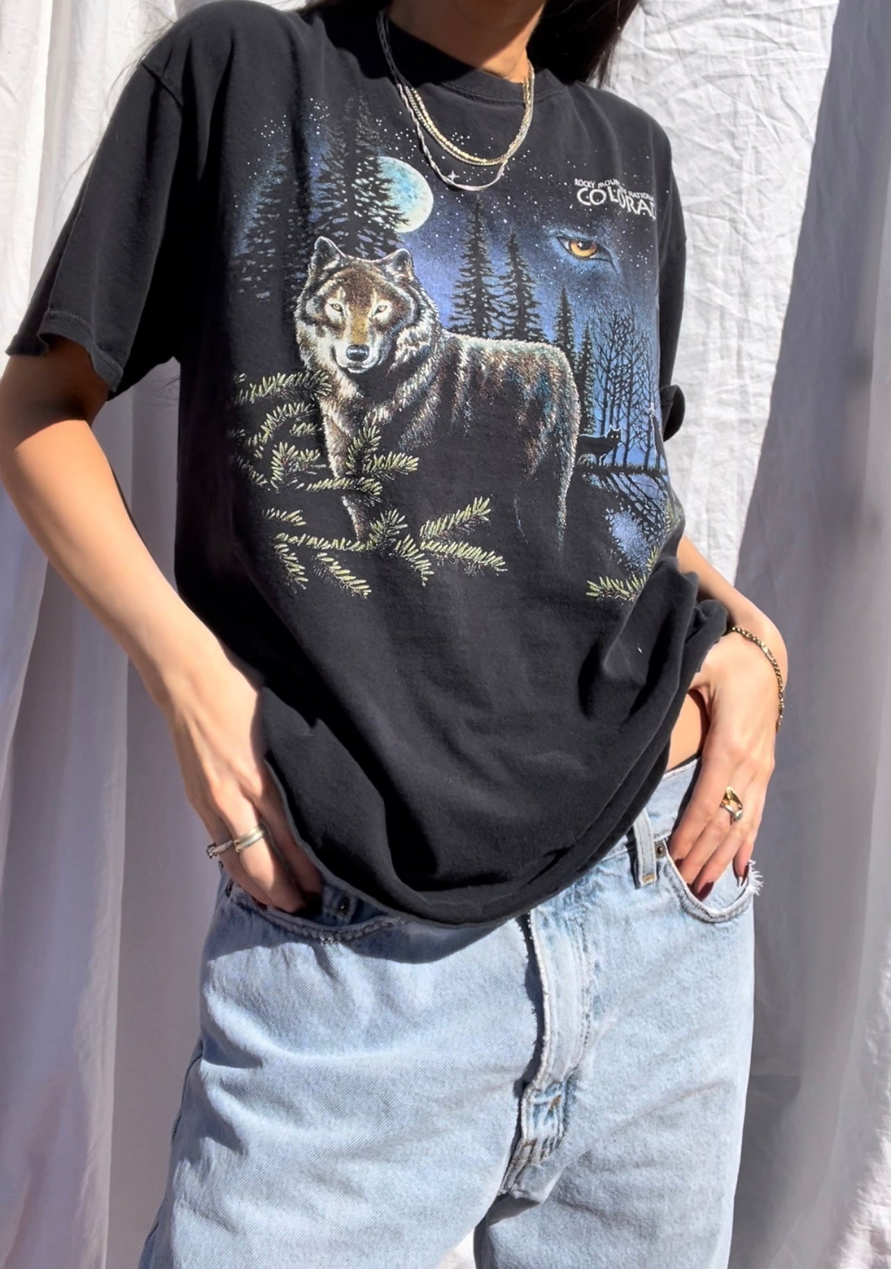 Vtg Rocky Mountain Wolf Tee