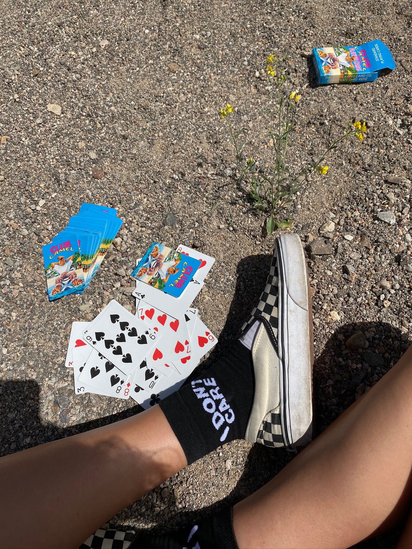 Club Camel Playing Cards 1992