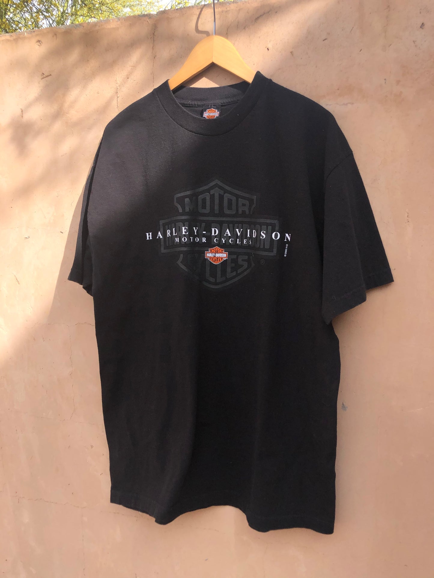 Tucson Eagle Flame Harley