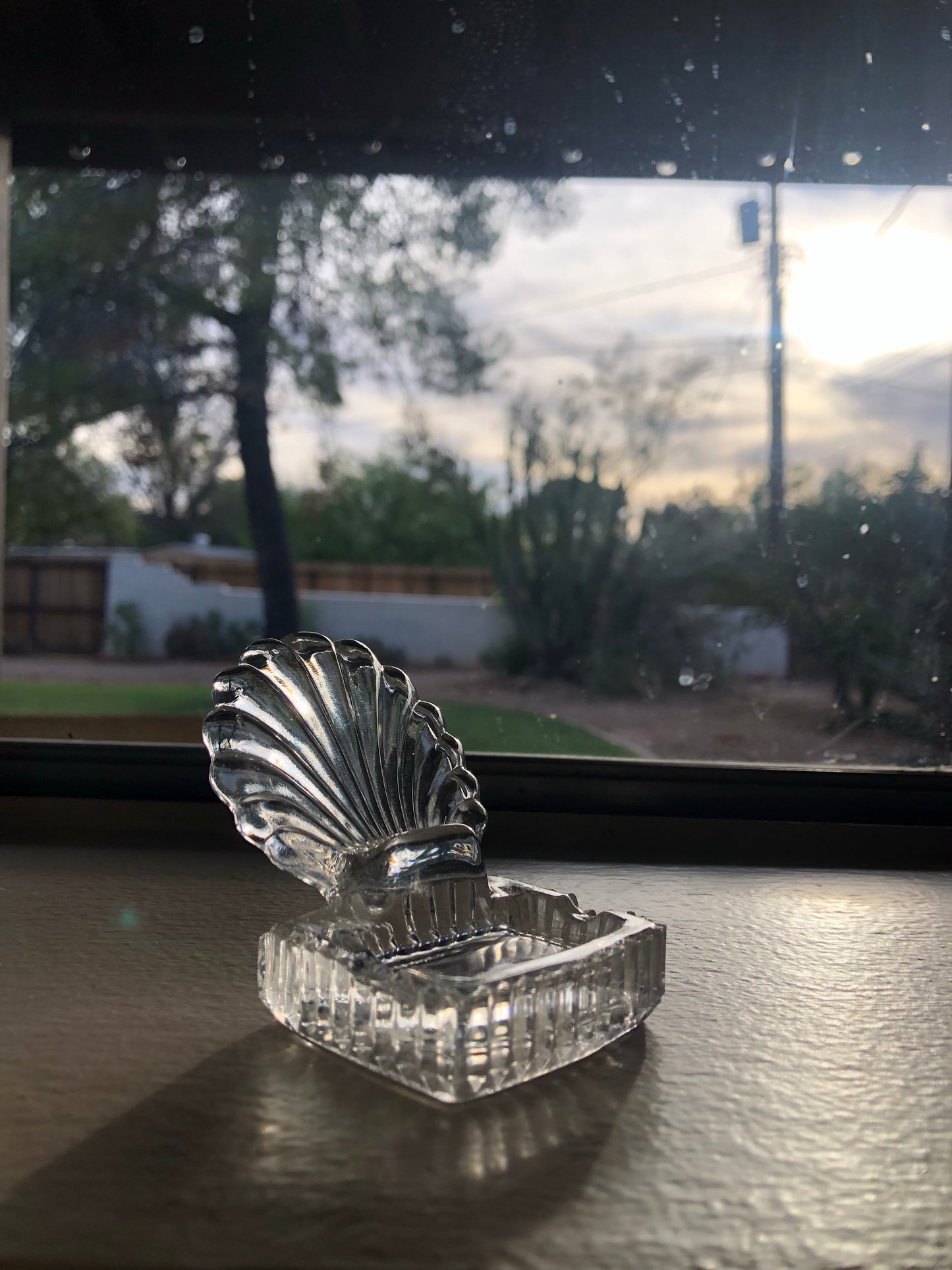 Sea Shells Glass Dish
