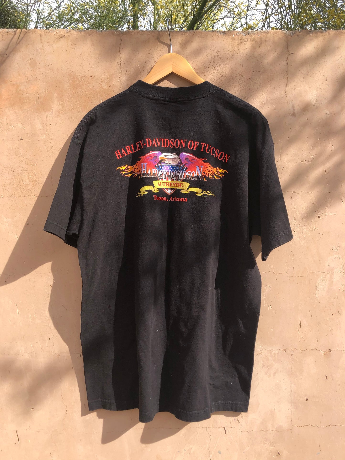 Tucson Eagle Flame Harley