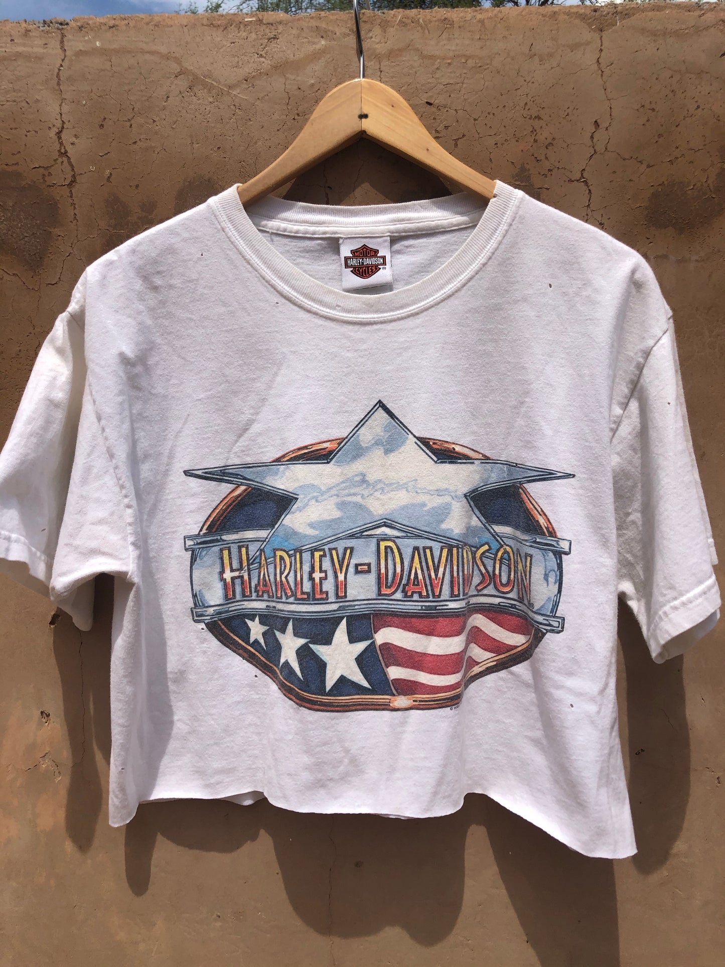 Star Flag Harley Crop