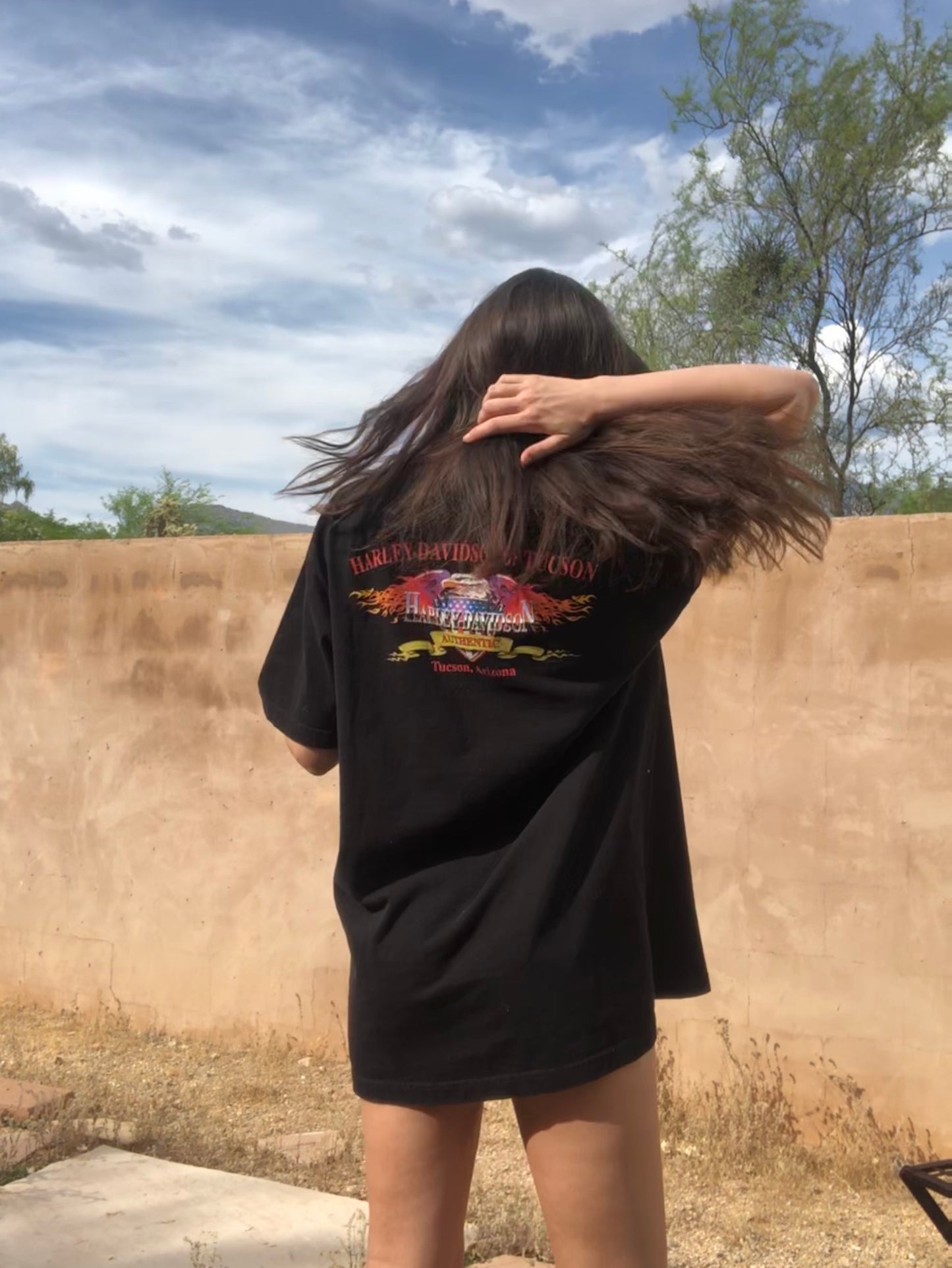 Tucson Eagle Flame Harley