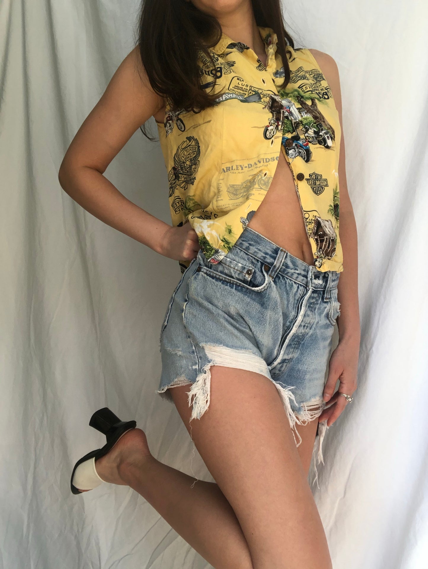 Vacation Harley Top