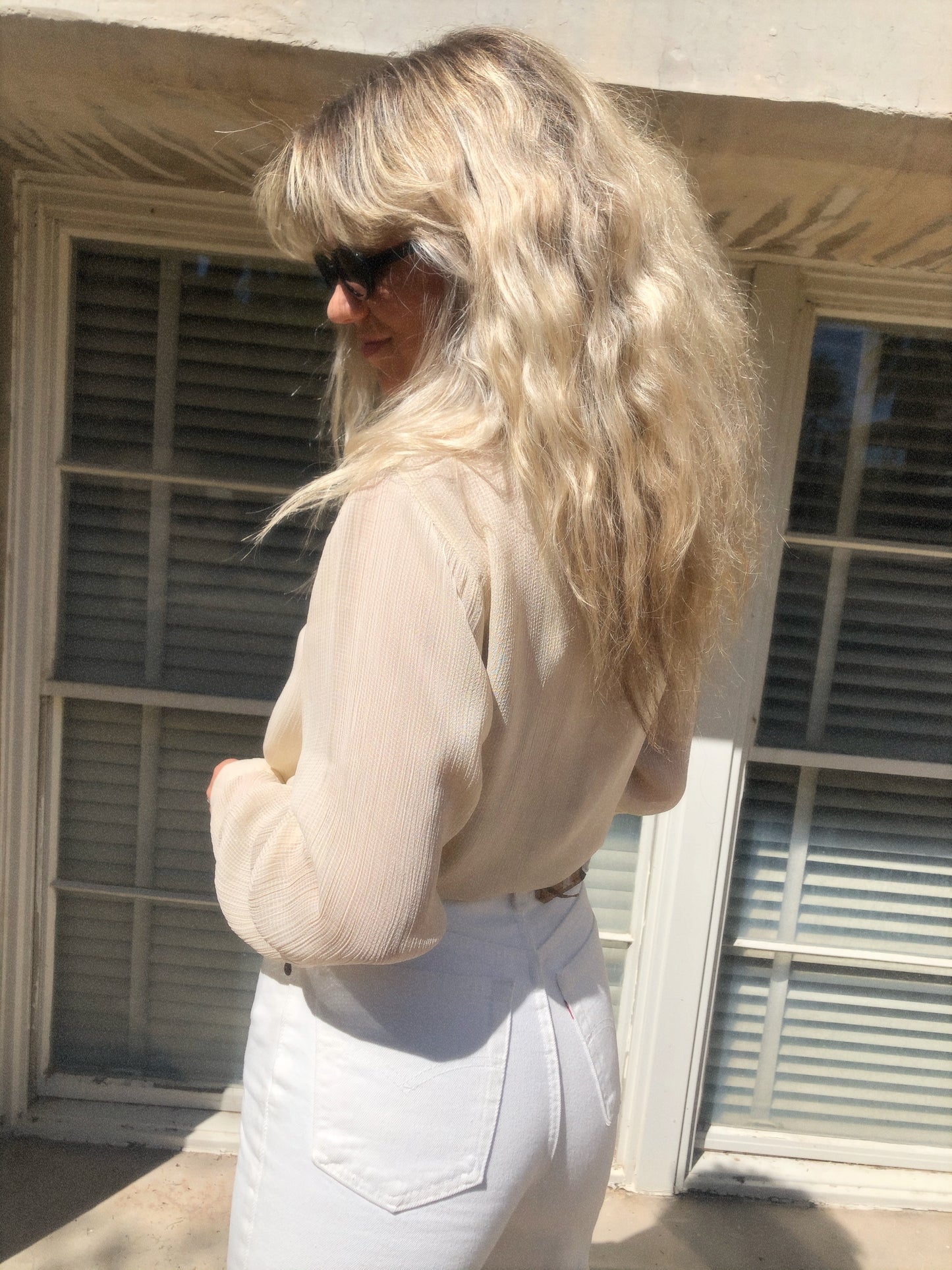 Sheer Emotions Blouse