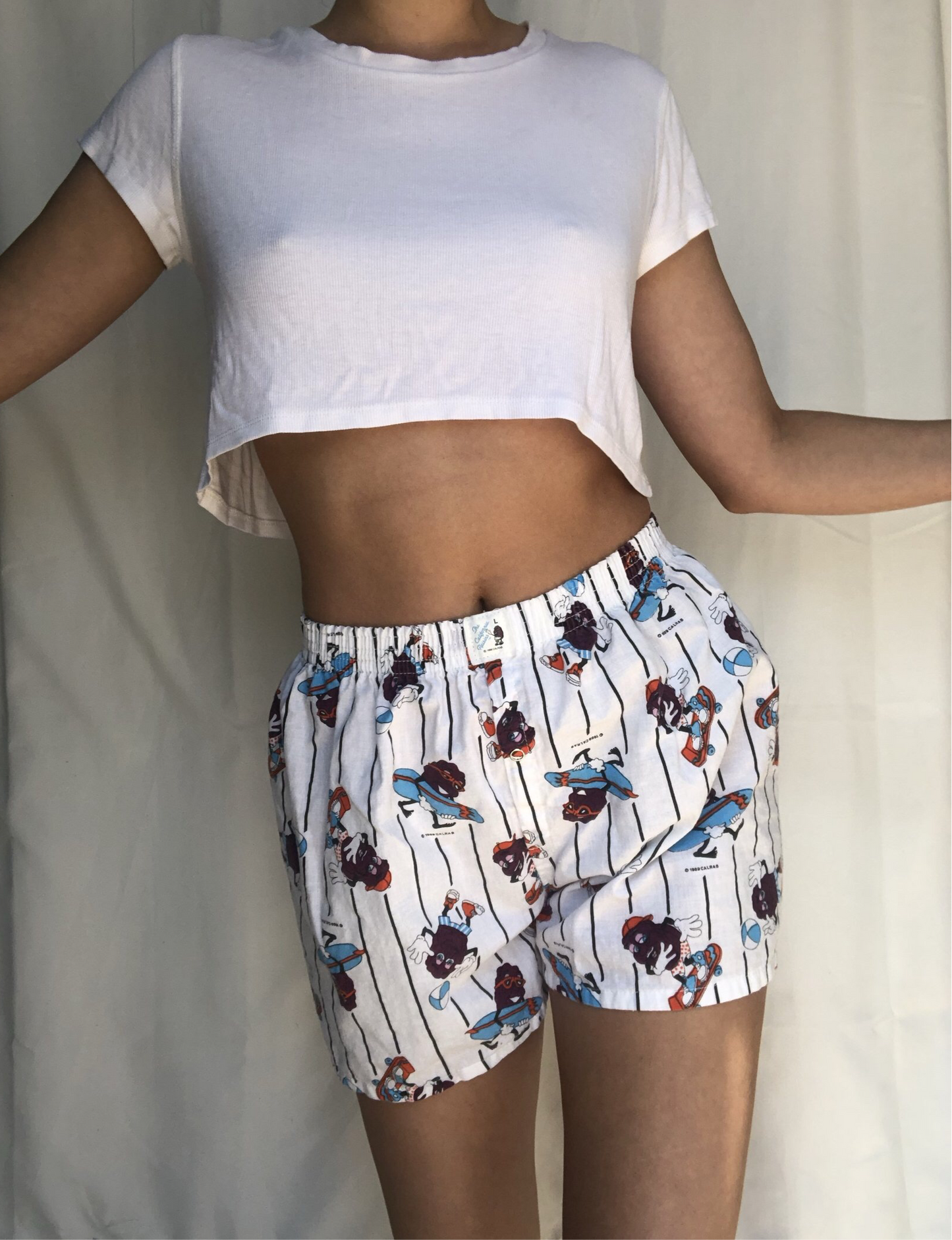 Vtg California Raisins Boxers