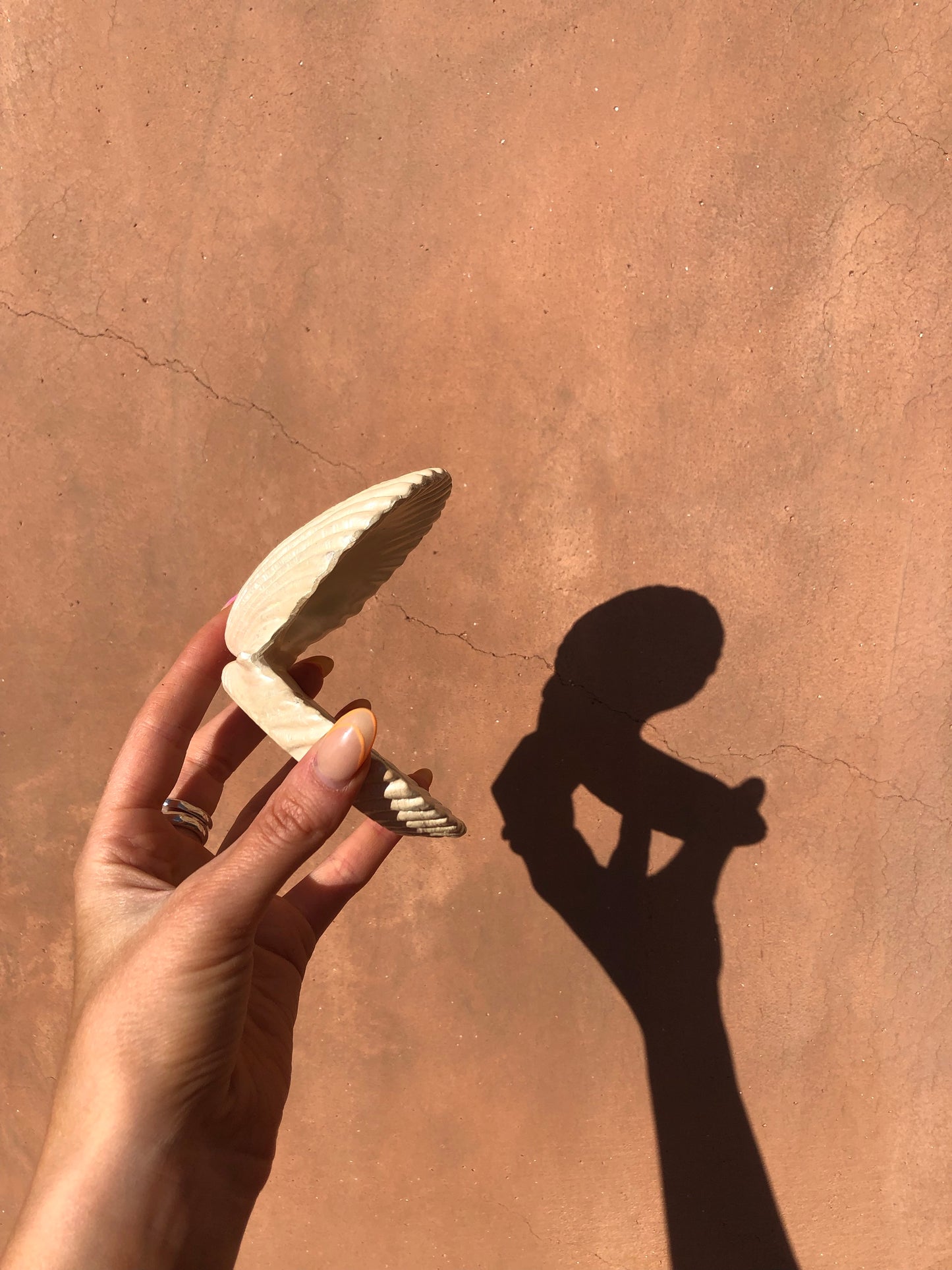 Dreamy Sea Shell Candle π