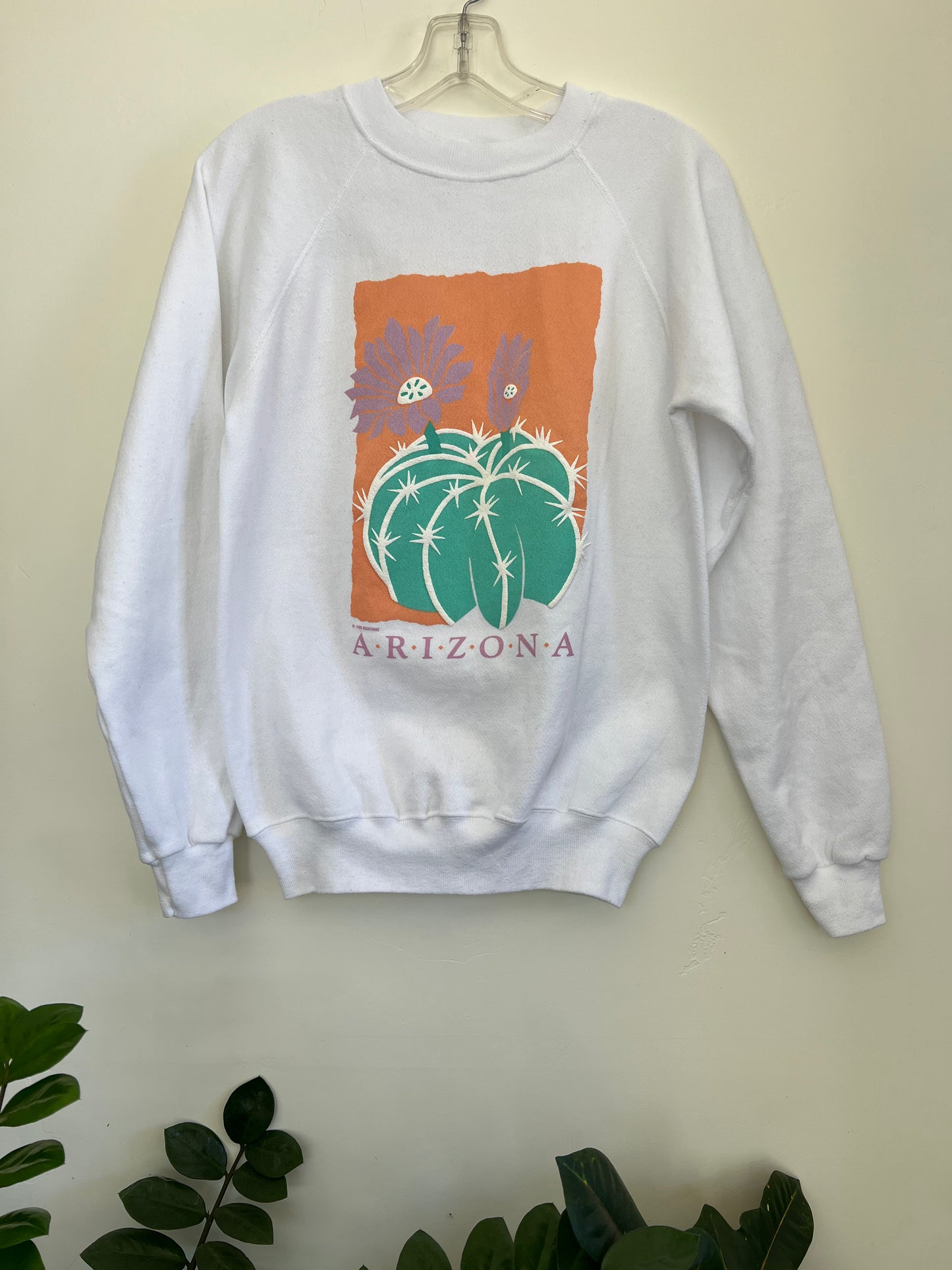 Vtg 80’s AZ Sweatshirt