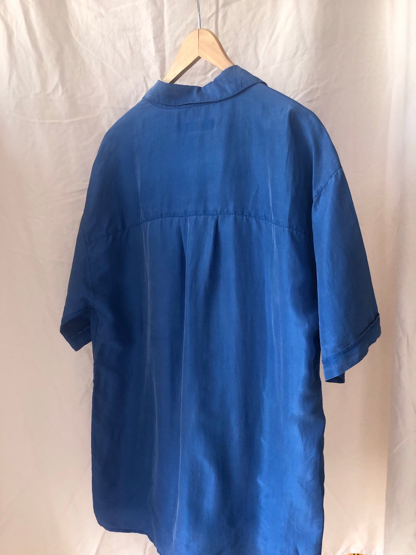 Azul Button Down