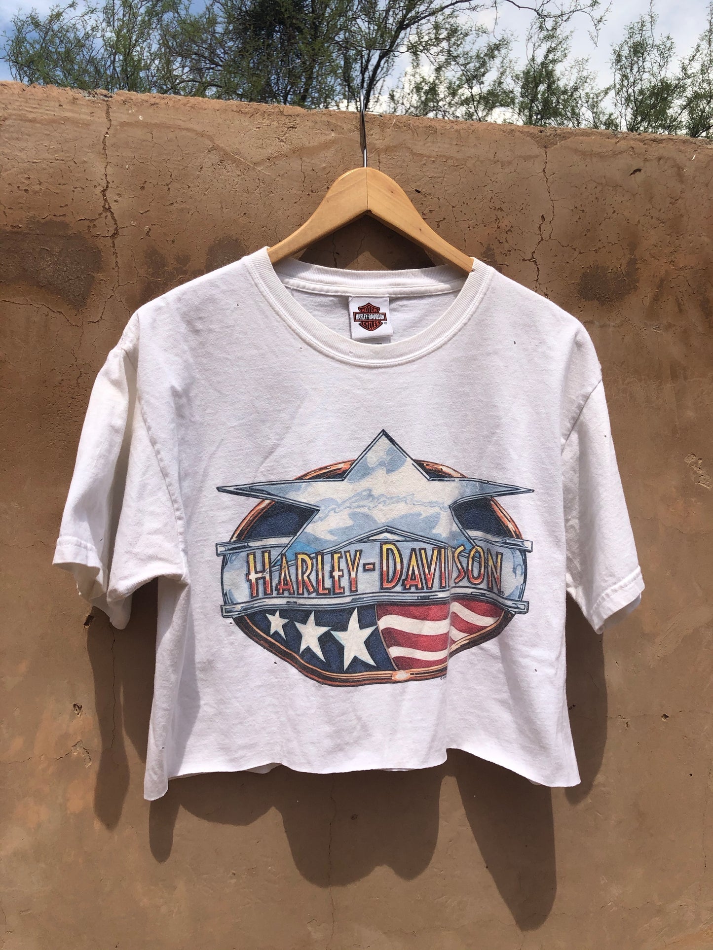 Star Flag Harley Crop