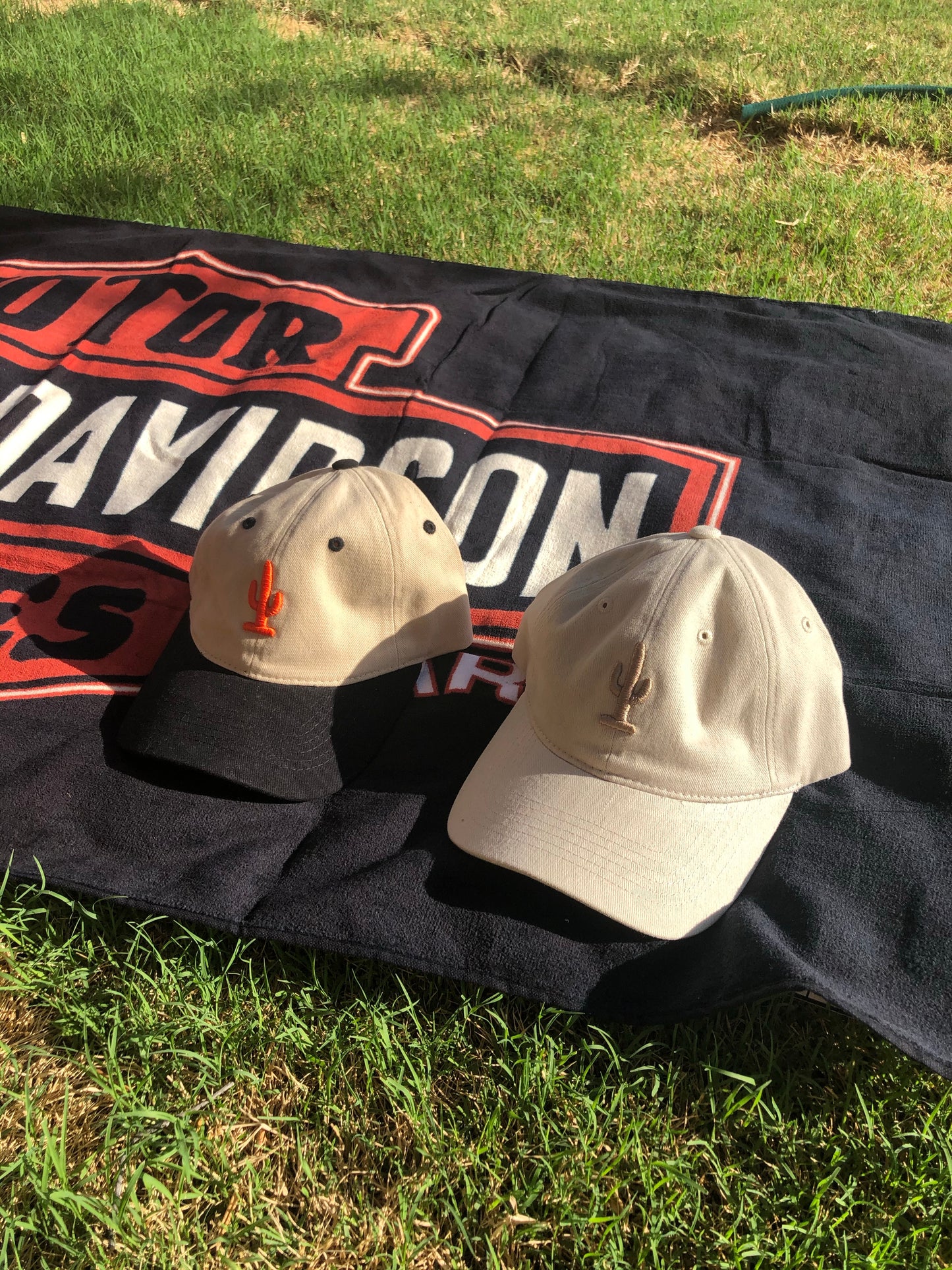 Beige Cactus Dad Hat