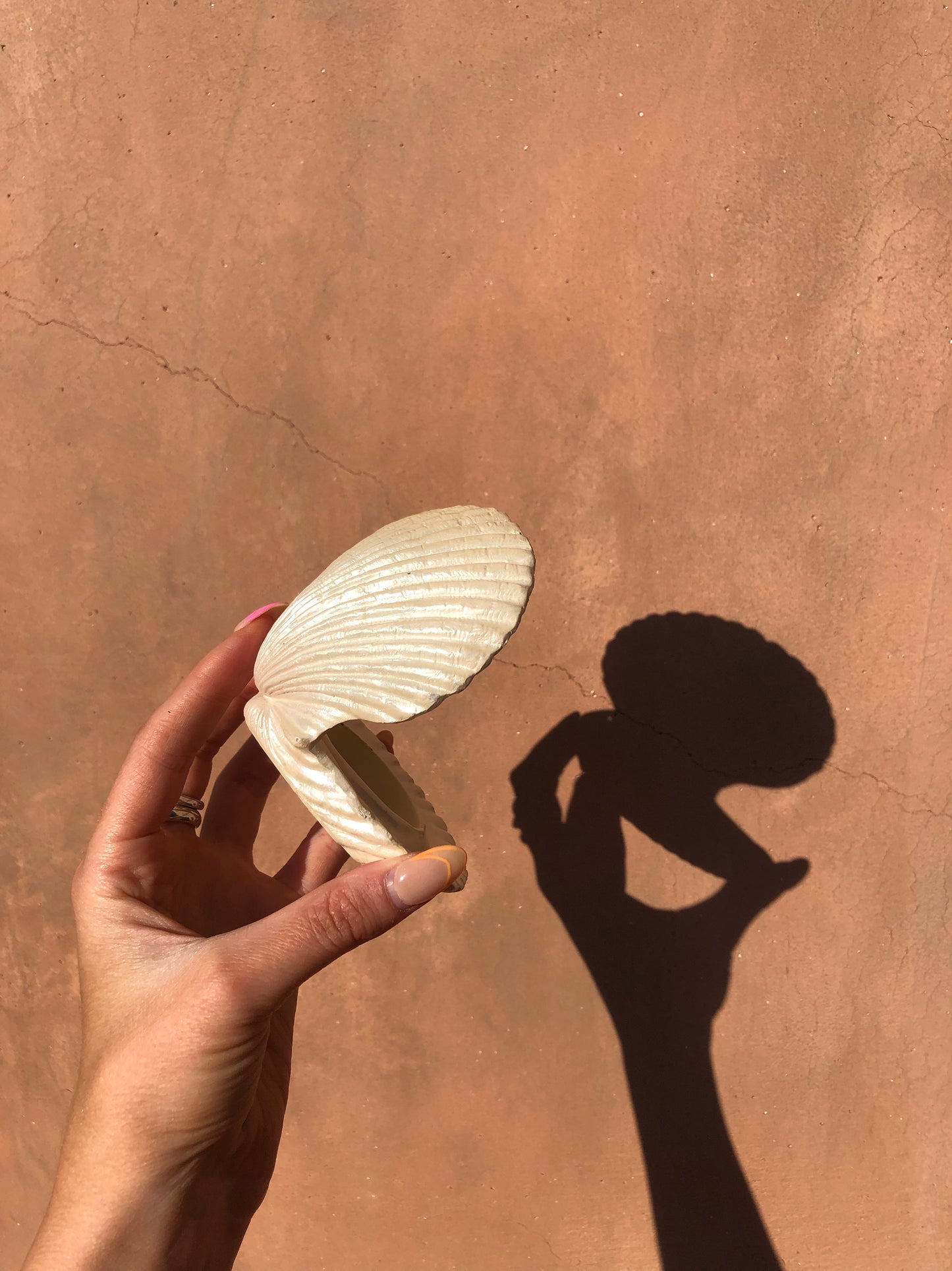 Dreamy Sea Shell Candle π