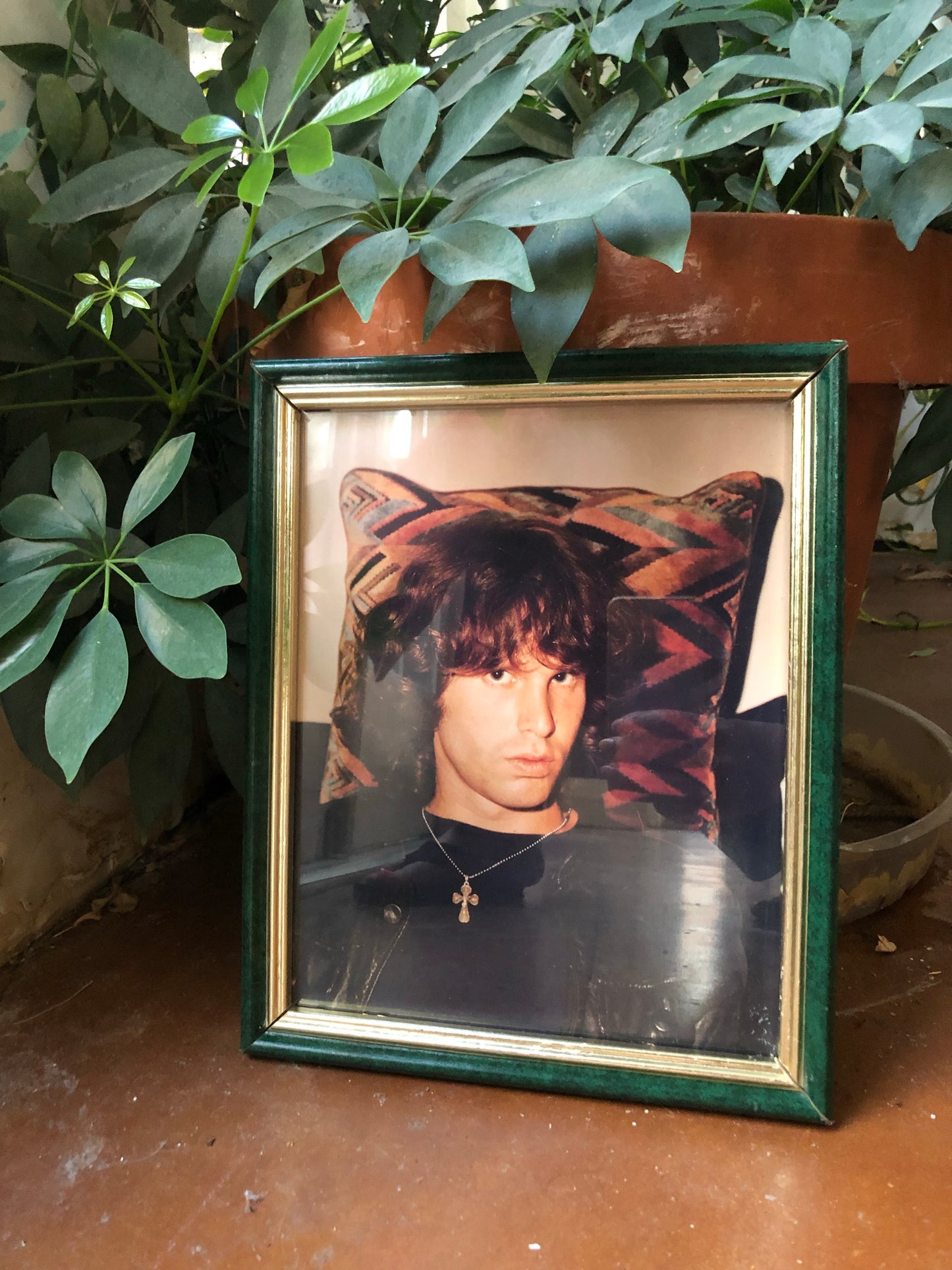 Dreamy Jim