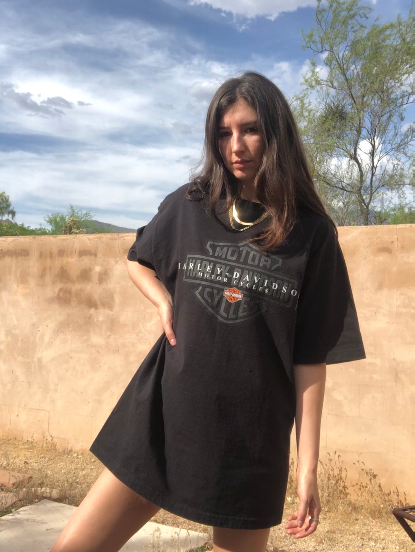 Tucson Eagle Flame Harley