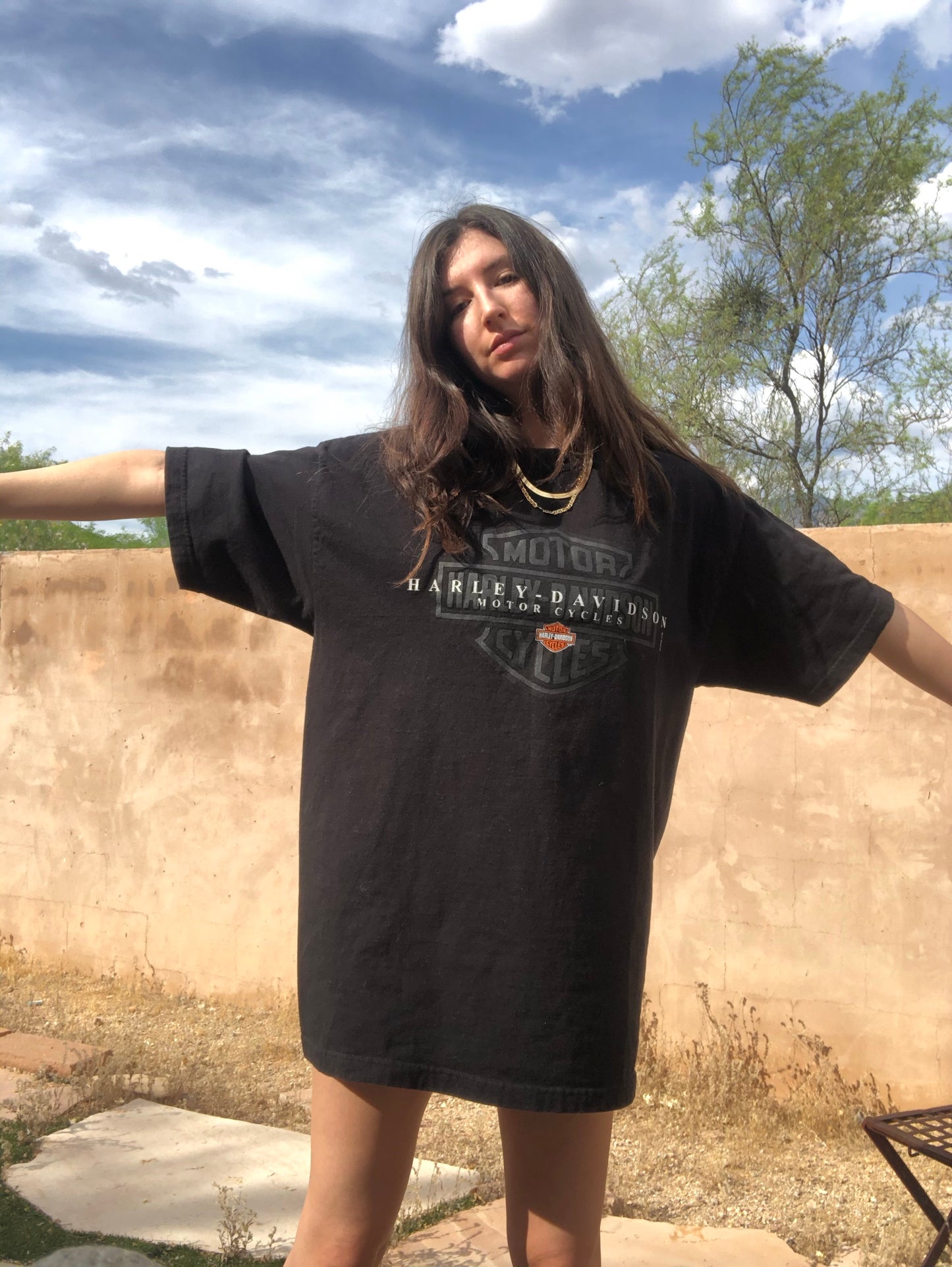 Tucson Eagle Flame Harley