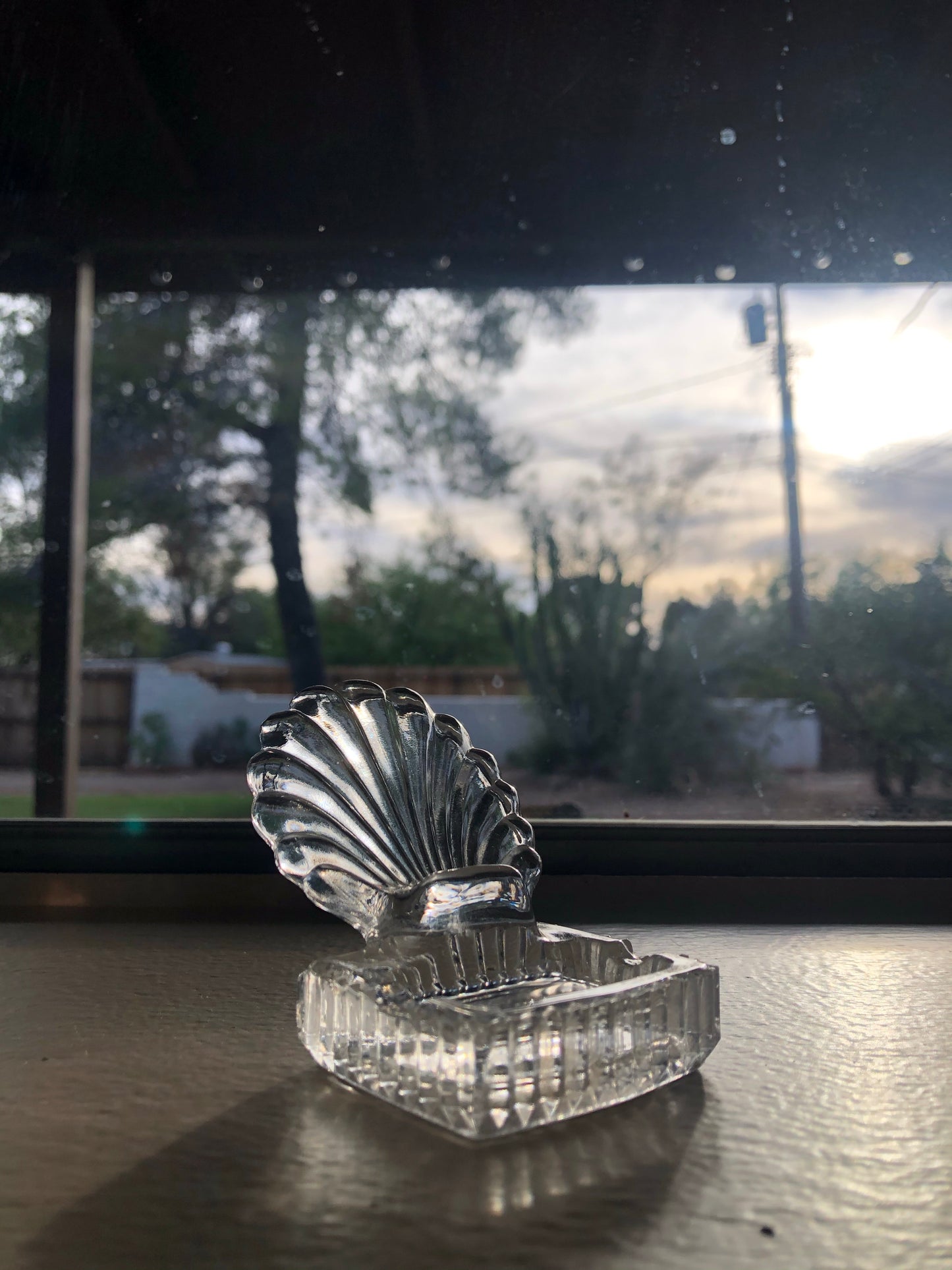 Sea Shells Glass Dish