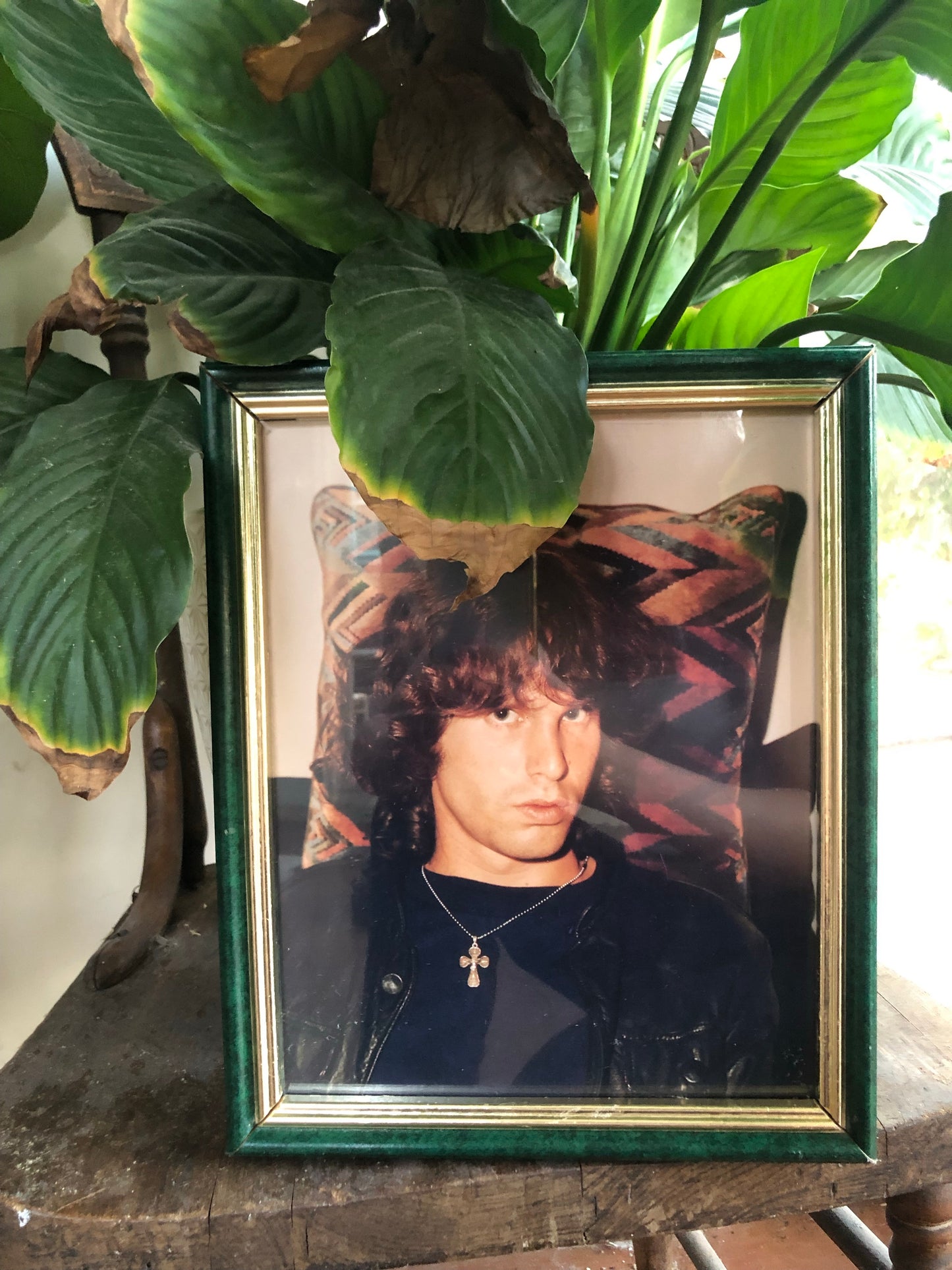 Dreamy Jim