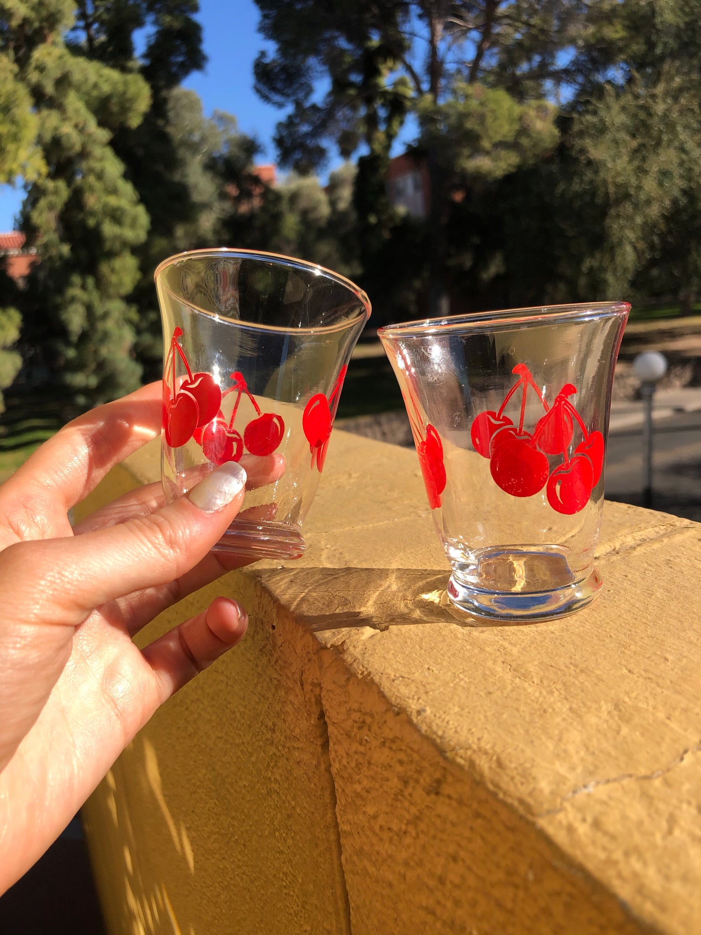 Cherry Glasses Set