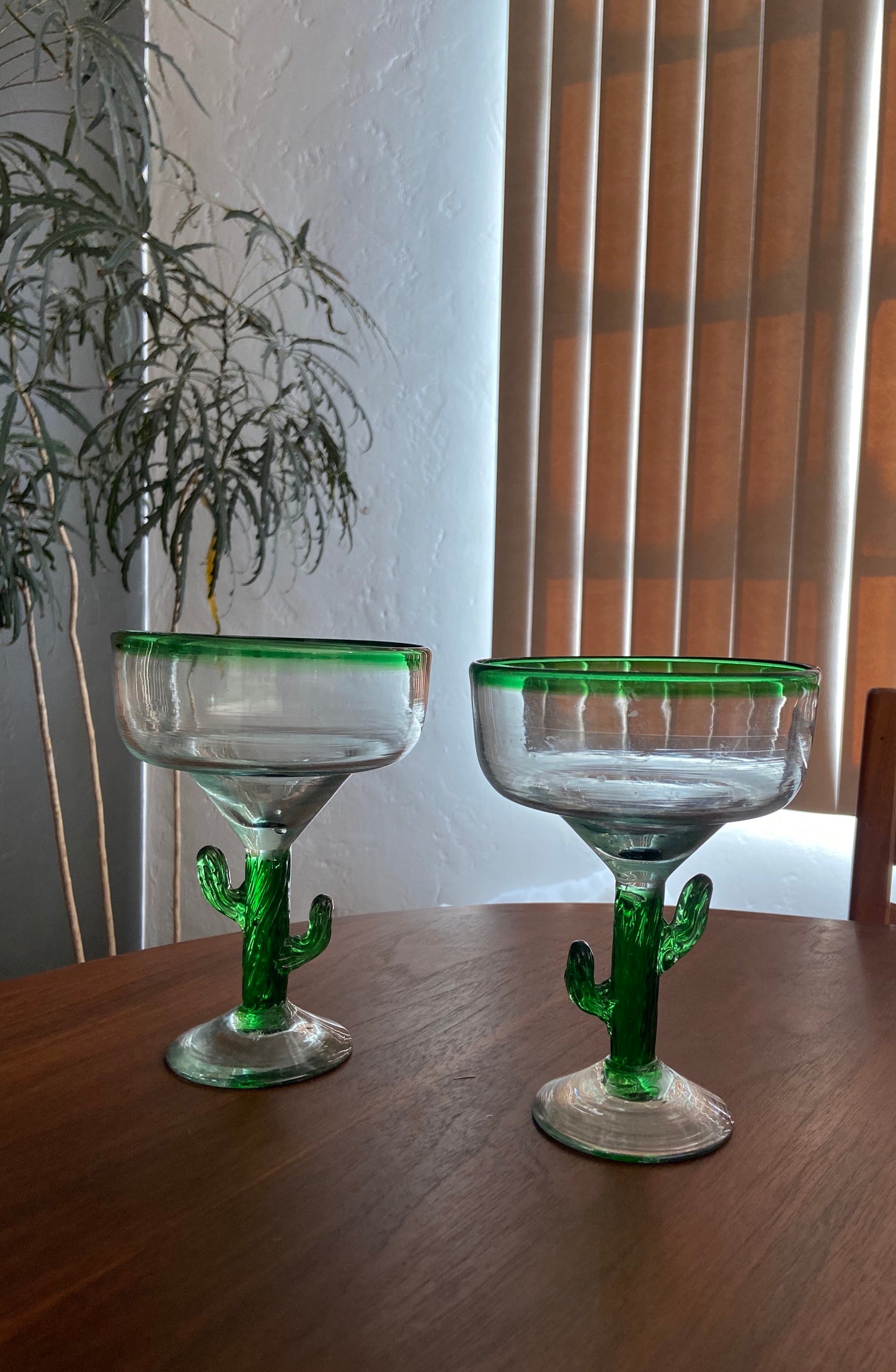 Cactus Margarita Set