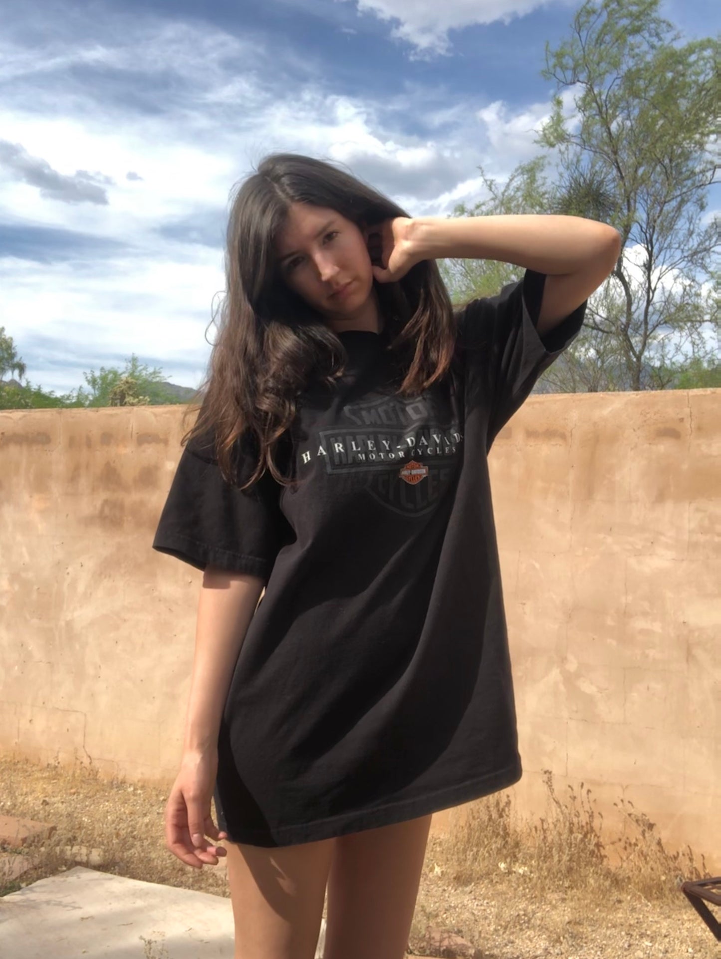 Tucson Eagle Flame Harley