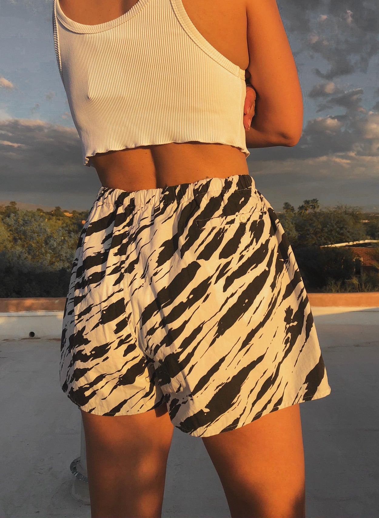 Zebra Shorties
