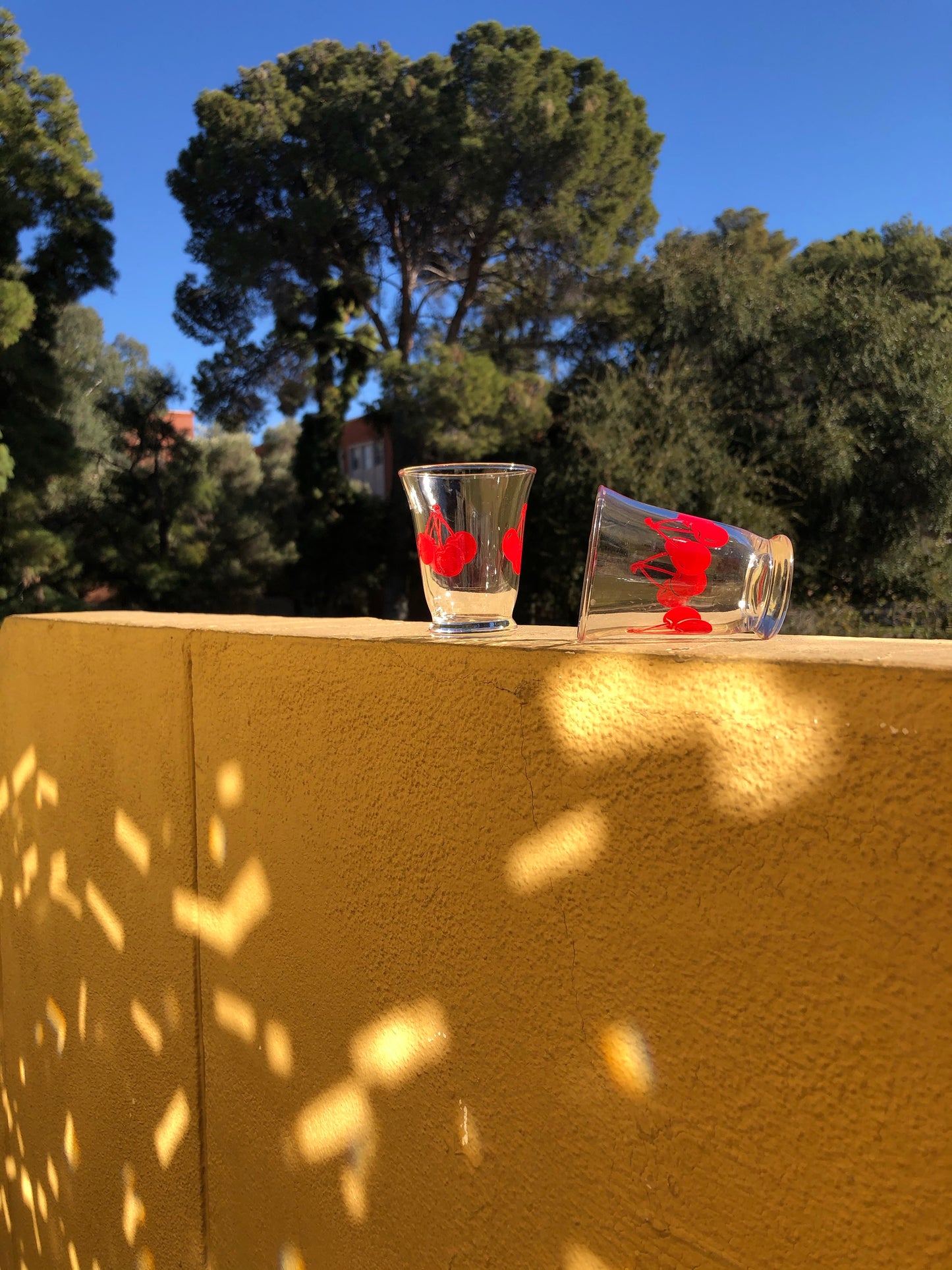 Cherry Glasses Set