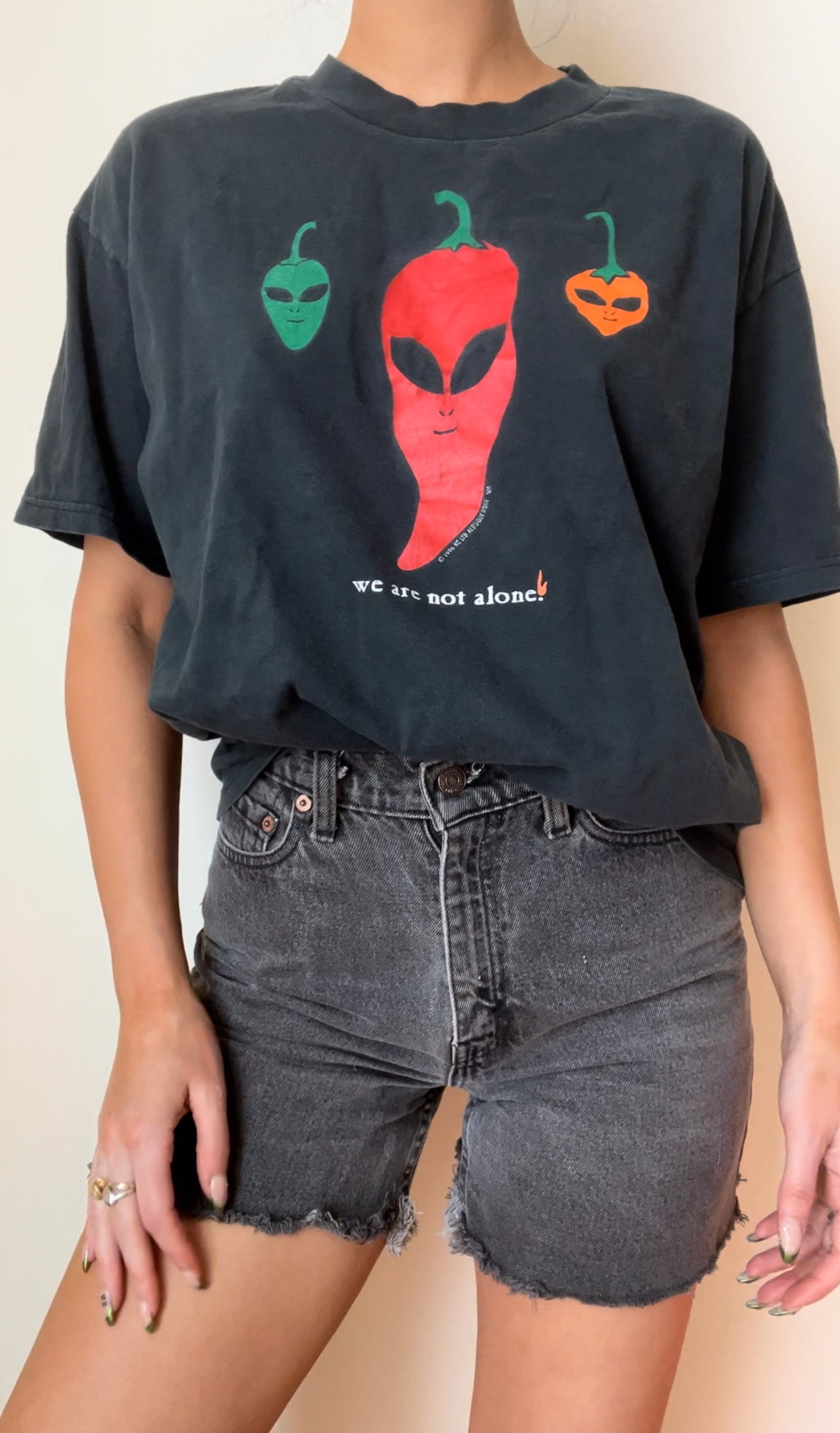 1996 We Are Not Alone Tee
