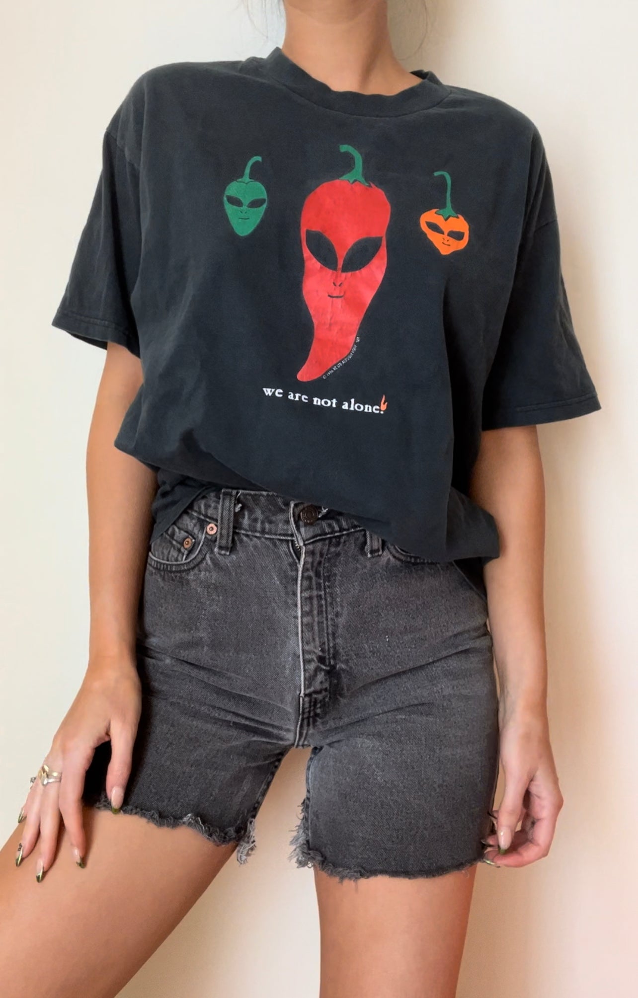 1996 We Are Not Alone Tee