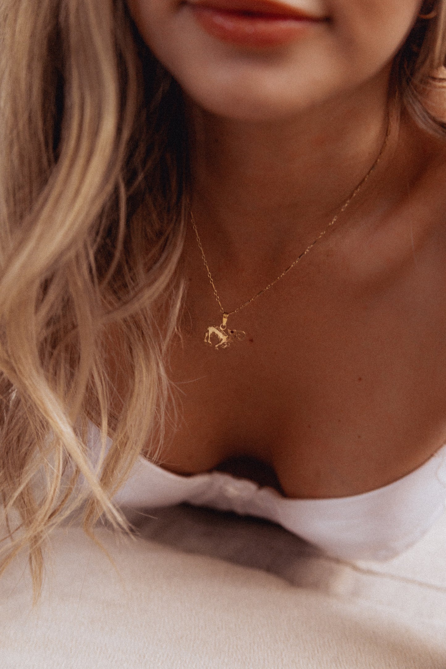Solid Gold Aries Necklace
