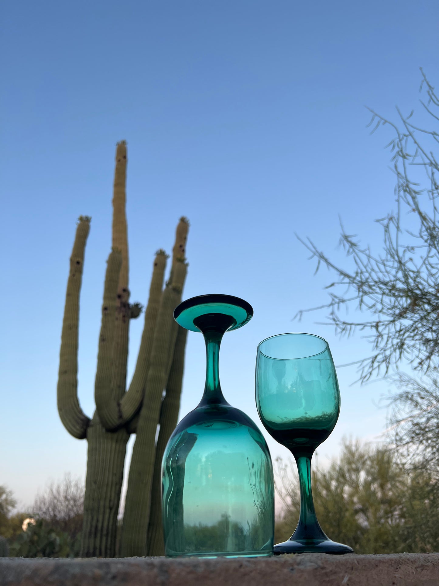 Lush Desert Wine Glasses