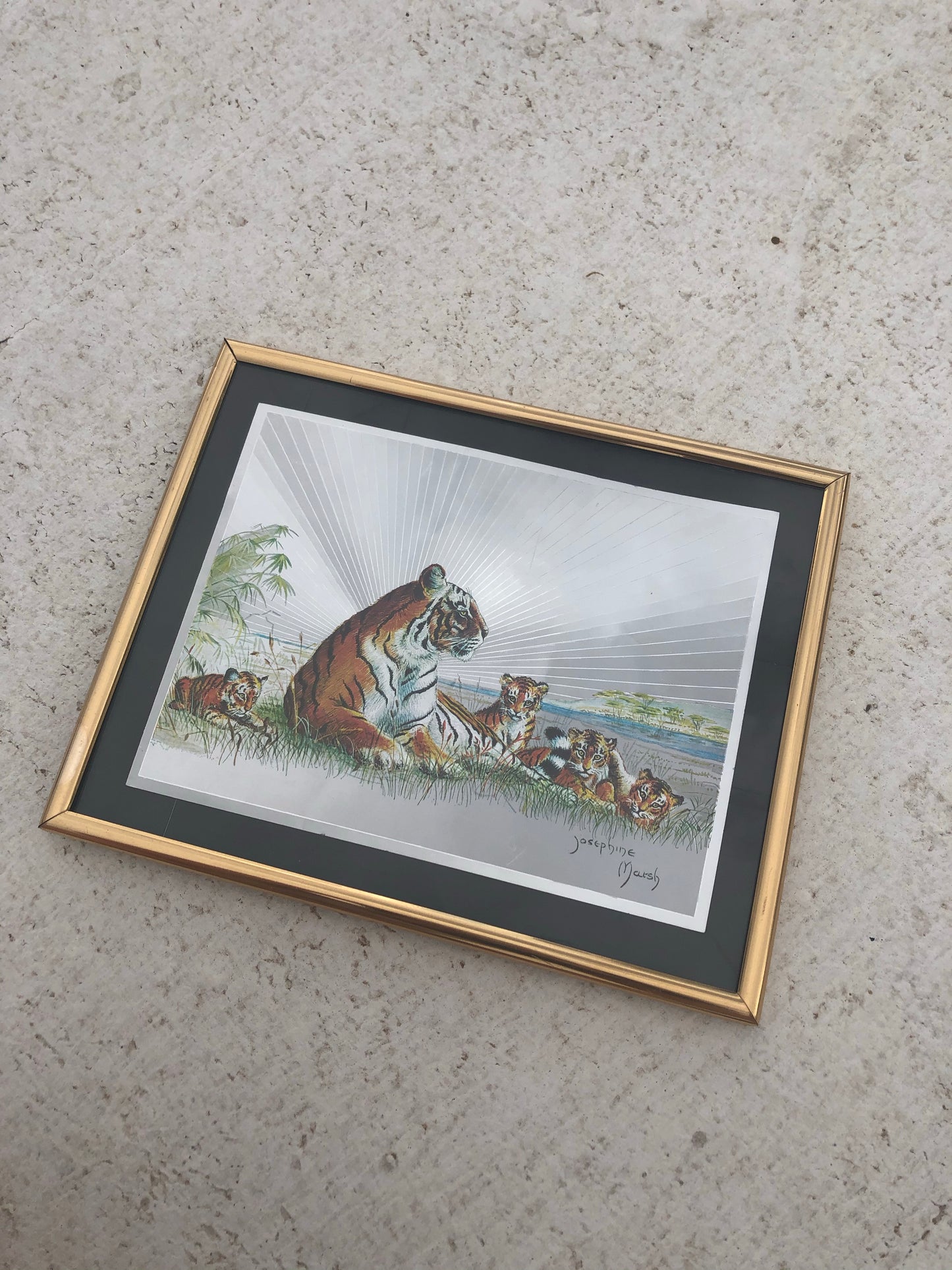 Vintage Framed Foil Tiger Print