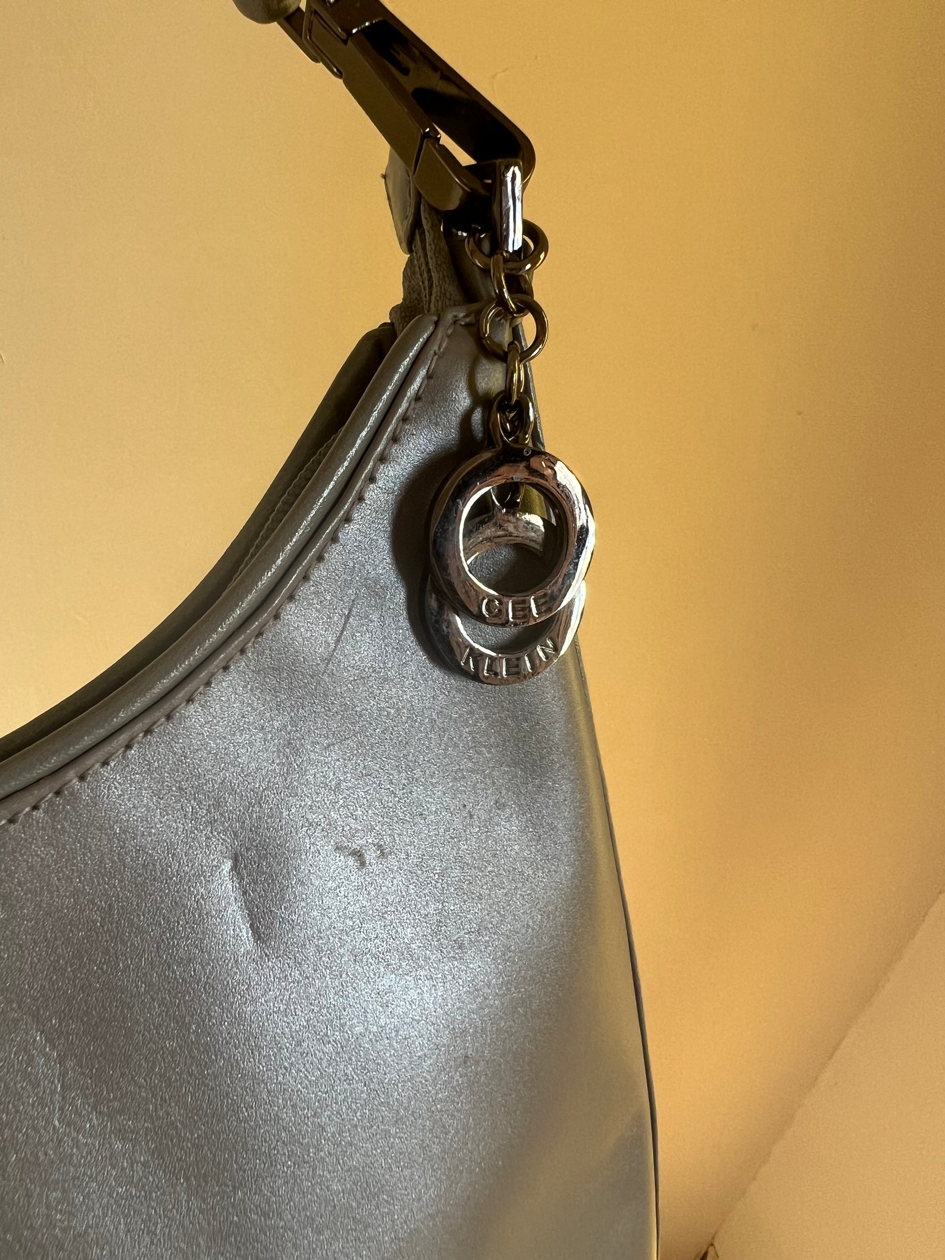 Silver Cee Klein Purse
